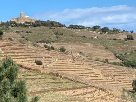 photo coins arrondis