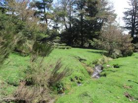 Image al&eacute;atoire