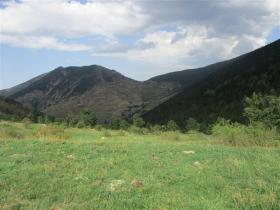 Image al&eacute;atoire