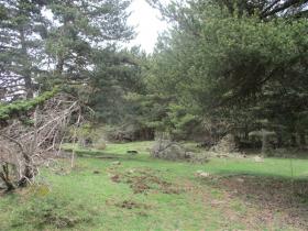 Image al&eacute;atoire