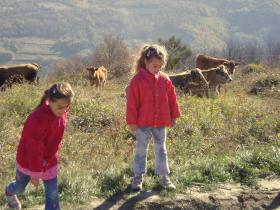 photo coins arrondis