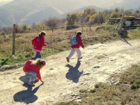 photo coins arrondis