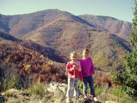 photo coins arrondis