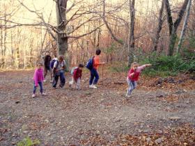 photo coins arrondis