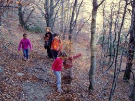 photo coins arrondis