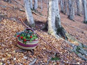 photo coins arrondis