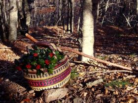 photo coins arrondis