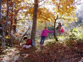 photo coins arrondis