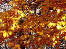 photo coins arrondis