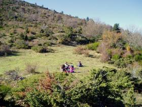 photo coins arrondis