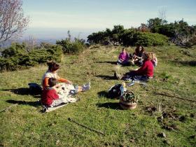 photo coins arrondis