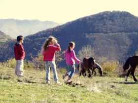 photo coins arrondis