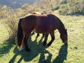 photo coins arrondis