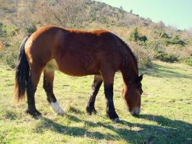 photo coins arrondis