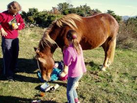 photo coins arrondis