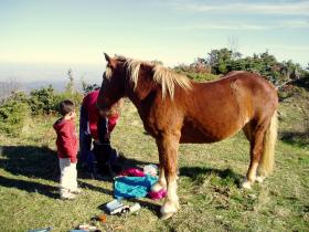 photo coins arrondis