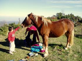 photo coins arrondis