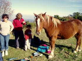 photo coins arrondis