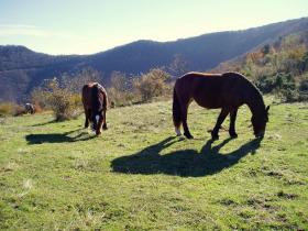 photo coins arrondis