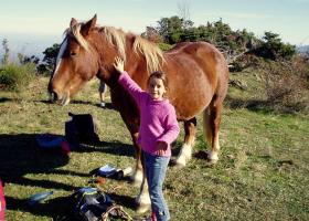 photo coins arrondis