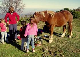 photo coins arrondis