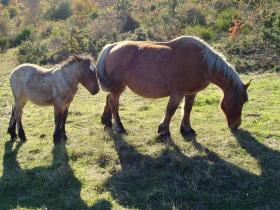 photo coins arrondis