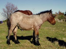 photo coins arrondis