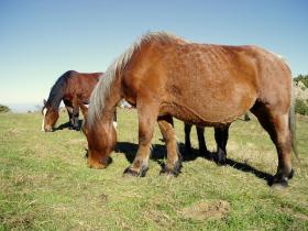 photo coins arrondis