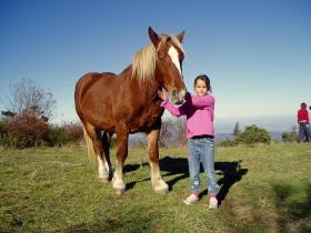 photo coins arrondis