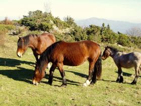 photo coins arrondis