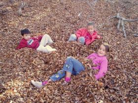 photo coins arrondis