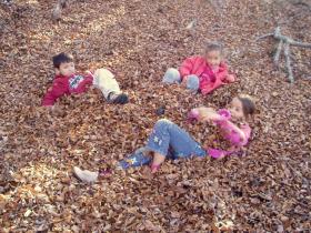 photo coins arrondis