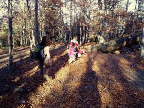 photo coins arrondis