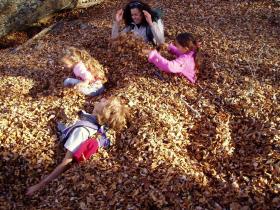 photo coins arrondis