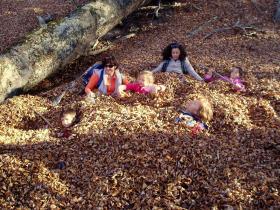 photo coins arrondis