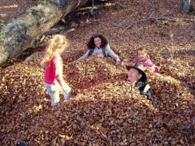 photo coins arrondis