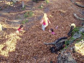 photo coins arrondis