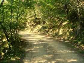 photo coins arrondis