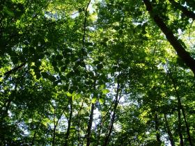 photo coins arrondis