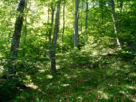 photo coins arrondis