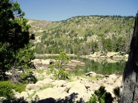 photo coins arrondis