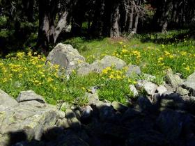 photo coins arrondis