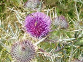 photo coins arrondis