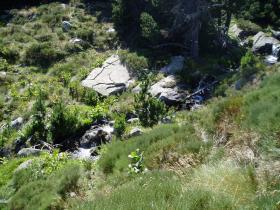 photo coins arrondis