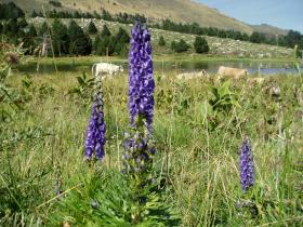 photo coins arrondis