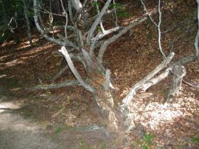 photo coins arrondis