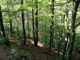 photo coins arrondis