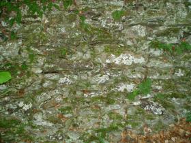 photo coins arrondis