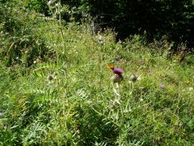 photo coins arrondis