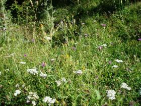 photo coins arrondis